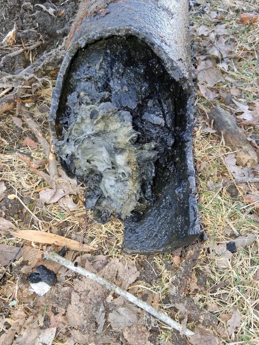 Sewer pipe packed with roots and debris pulled from a yard